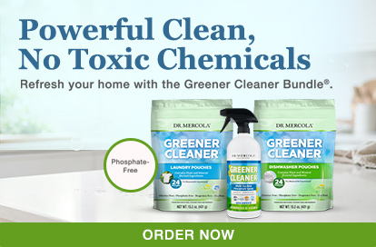 Healthy Home Grener Cleaner