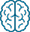 Brain