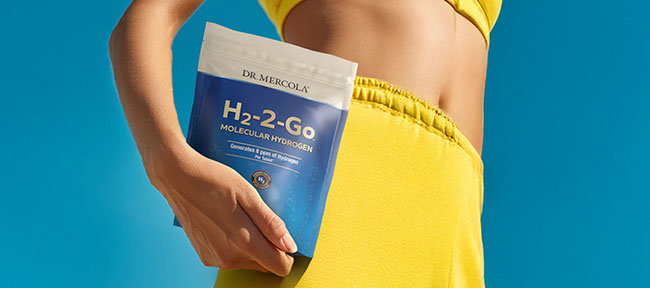 H2-2-Go&trade;