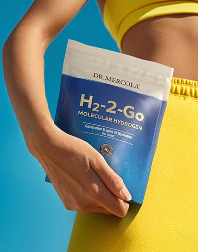 H2-2-Go&trade;