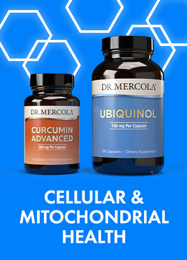 Cellular and Mitochondrial Health