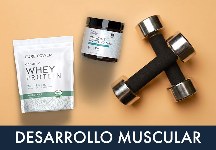 Muscle Building