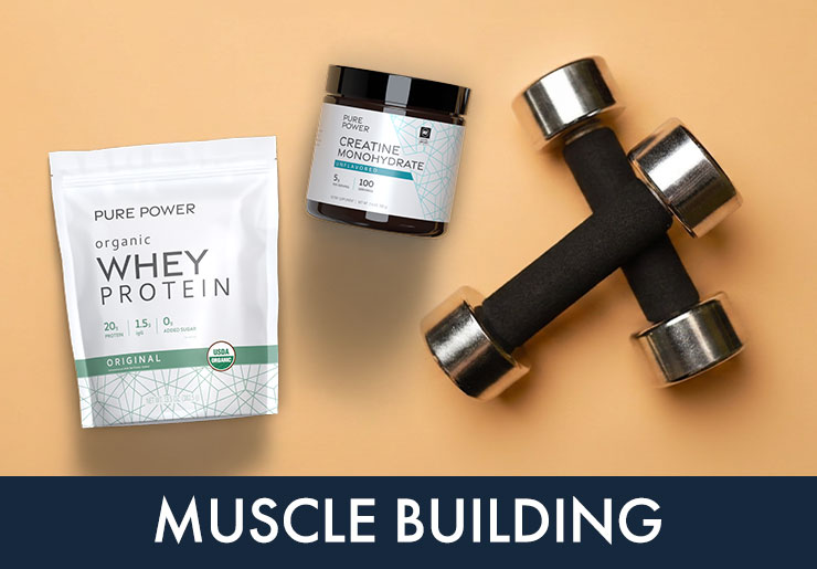 Muscle Building