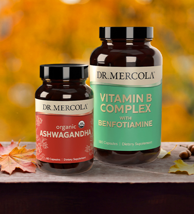 Cellular & Mitochondrial Health