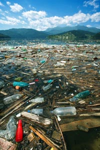 basura, botellas de plástico, mar contaminado