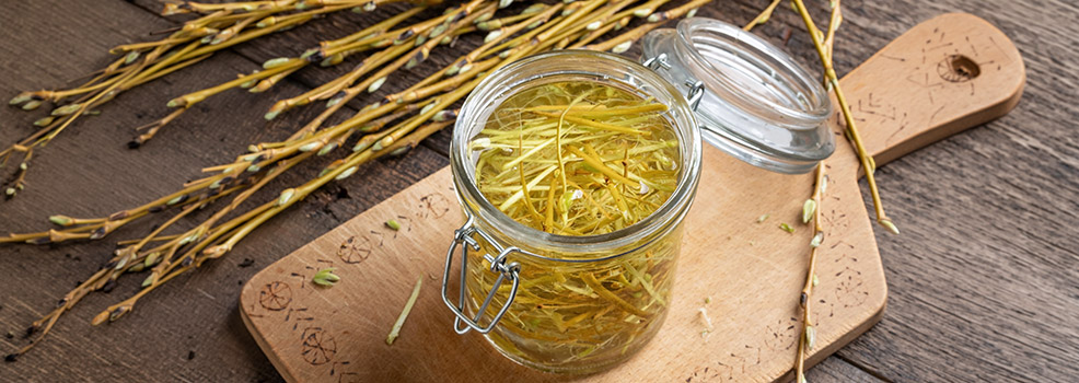 white willow bark and herbal tincture preparation on a wooden table
