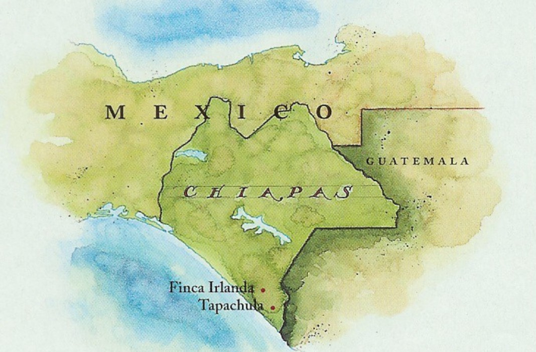 location of coffee farm in an illustrated map of Chiapas, Mexico