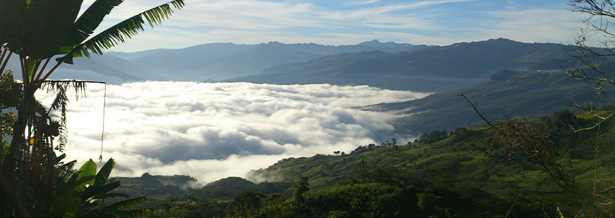 mountain highlands in Chiapas, Mexico, with forested valleys where coffee grows