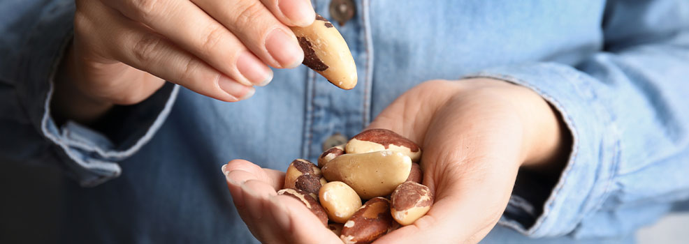Nueces de Brasil