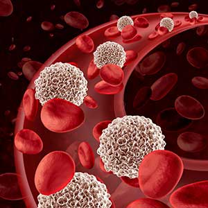 Blood cells