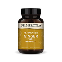 Fermented Ginger with Benegut®