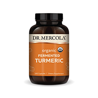 Organic Fermented Turmeric