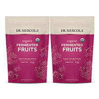 Organic Fermented Fruits Powder