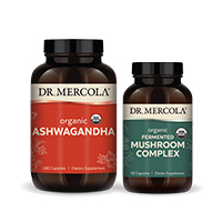 Organic Ashwagandha & Fermented Mushroom Complex