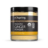 Organic Fermented Ginger Powder