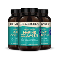 Marine Collagen
