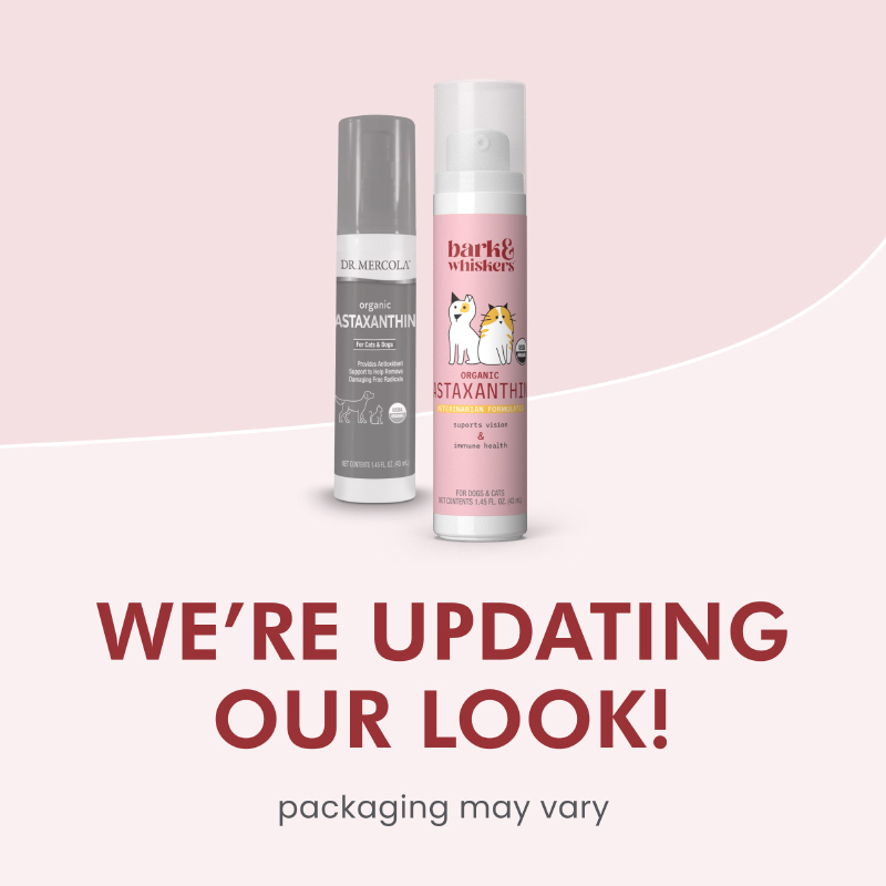 https://media.mercolamarket.com/assets/shopimages/18-3044-AlternateProductImage3.jpg