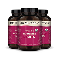 Organic Fermented Fruits