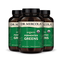 Organic Fermented Greens